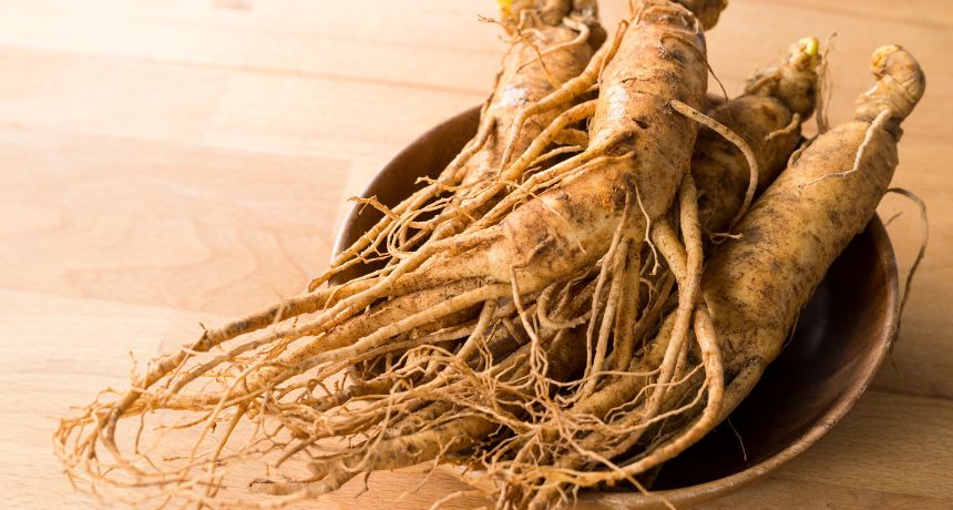 Ginseng