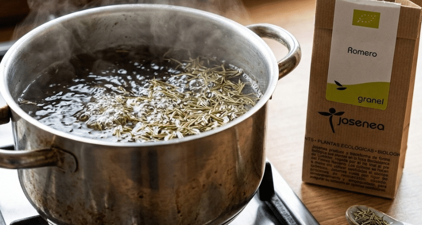 Como preparar agua de romero