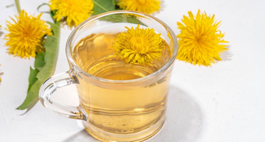 Diente de león - Infusiones para depurar naturalmente