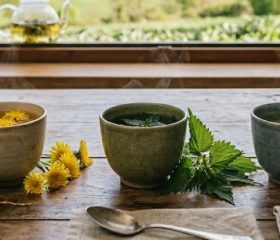 Cómo depurar el organismo naturalmente esta primavera