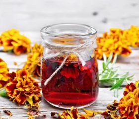 Plantas para cuidar tu sistema digestivo