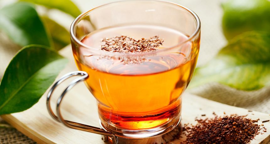 Rooibos Melisa