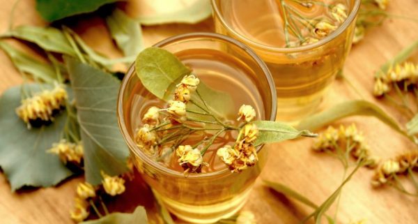 Infusión de Lavanda y Menta: Un Elixir Natural para Calmar el Estrés y la Ansiedad
