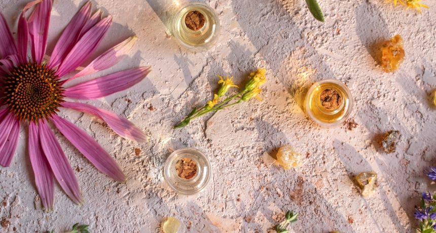 Tomillo equinacea hisopo